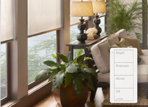 Lutron Lighting Controls